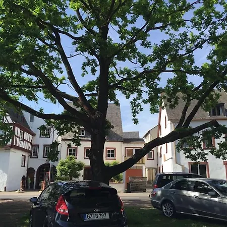 A Hidden Gem! Quelle * Verbandsgemeinde Bernkastel-Kues
